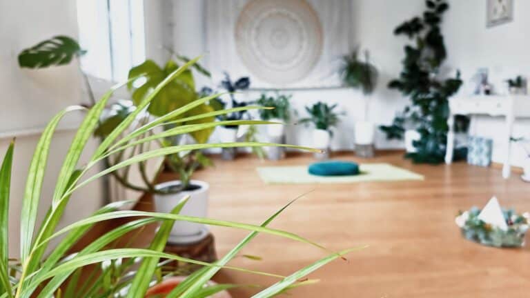 zentrum 22ung macht yung