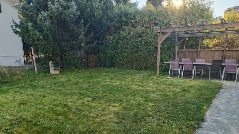 IMG20251103153135 cropped