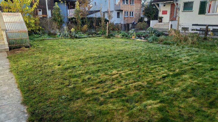 IMG20251105083308 cropped